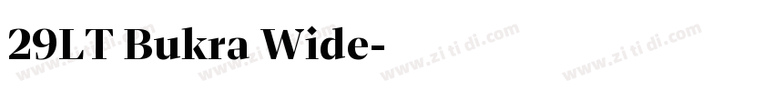 29LT Bukra Wide字体转换